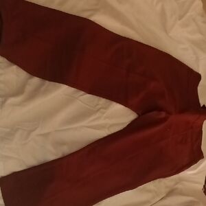 Stylish Burgundy Pants